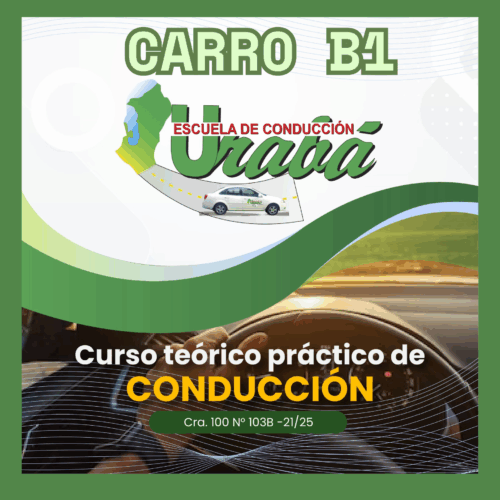 Licencia Carro B1