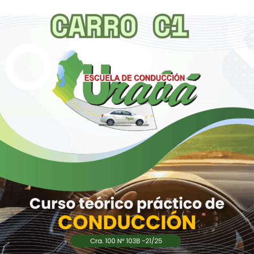 Licencia Carro C1